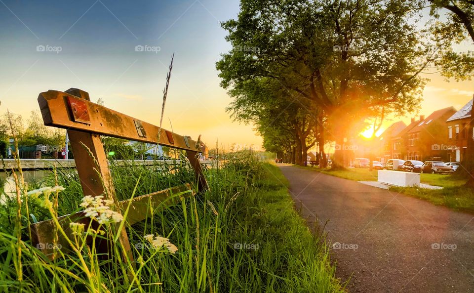 Wooden fence in the grass under the trees alongside a Countryside Road in the Golden sun of an idyllic sunset