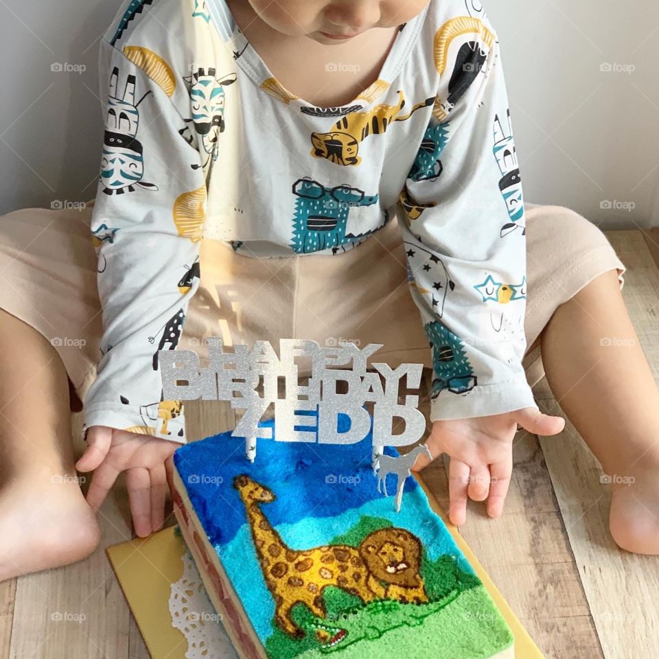 Hand drawn homemade animal happy birthday cake for kid 