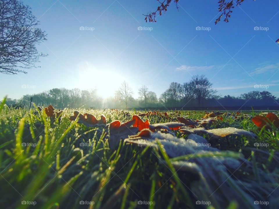 Frosty sunrise 