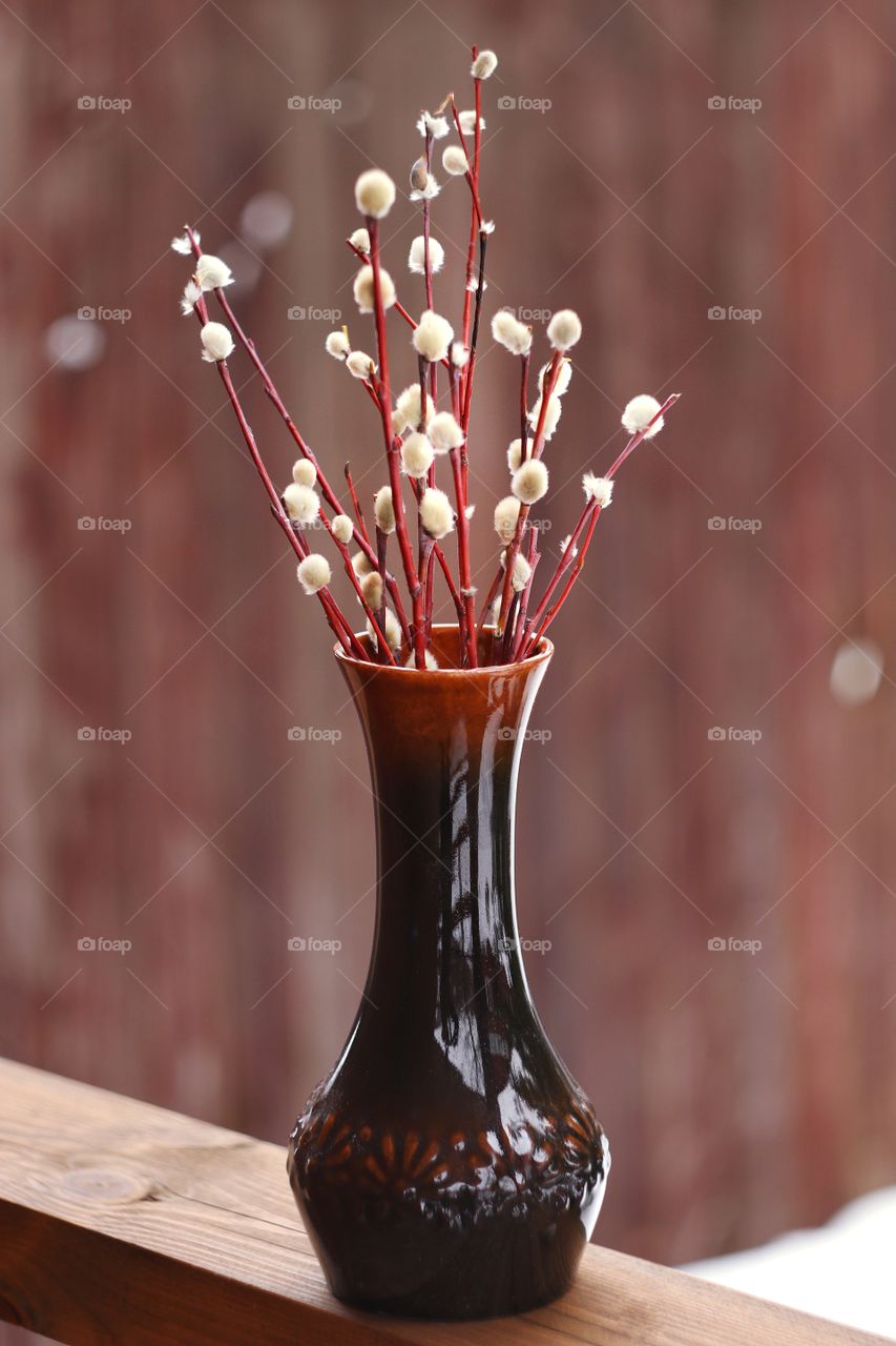 willow branches in a vase