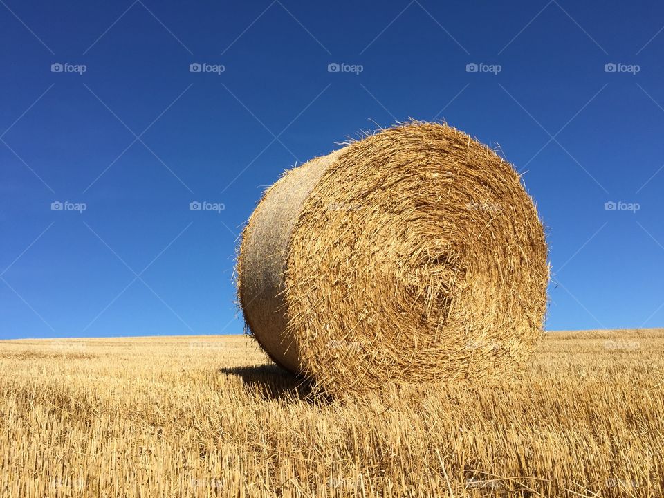 Bale of hay in field in front of blue sky 