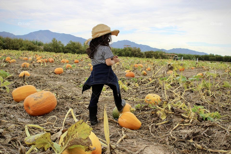 Fall 🍁🎃🍂Harvest Time 