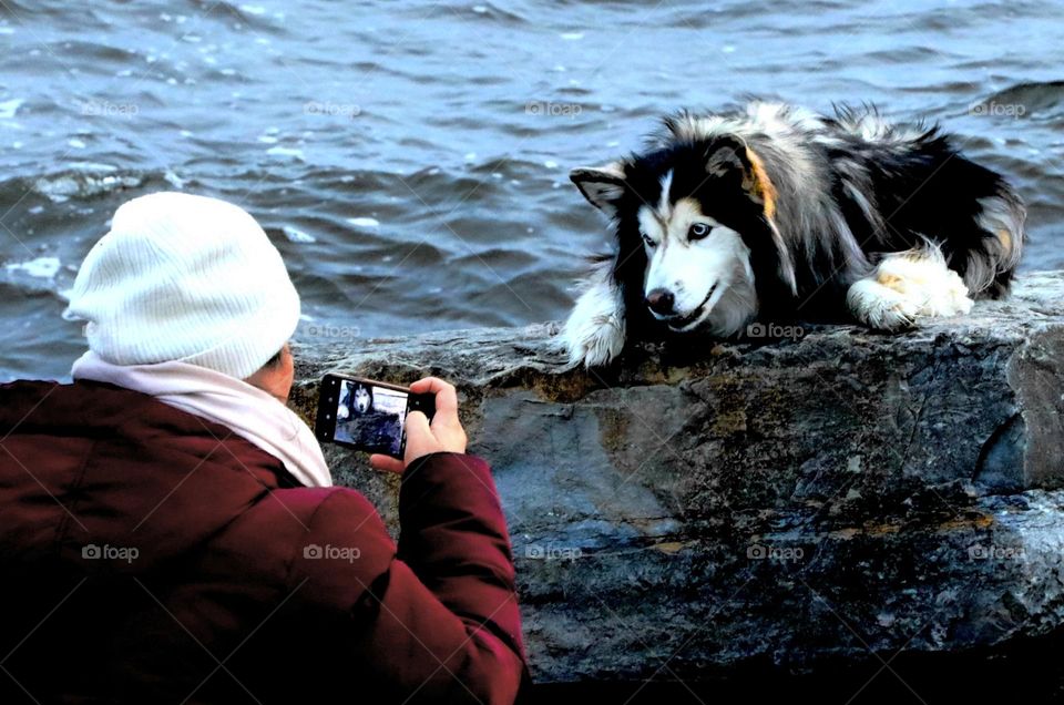 Lady taking pictures of her dog