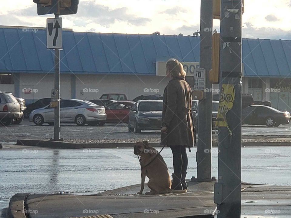 waiting to cross the road