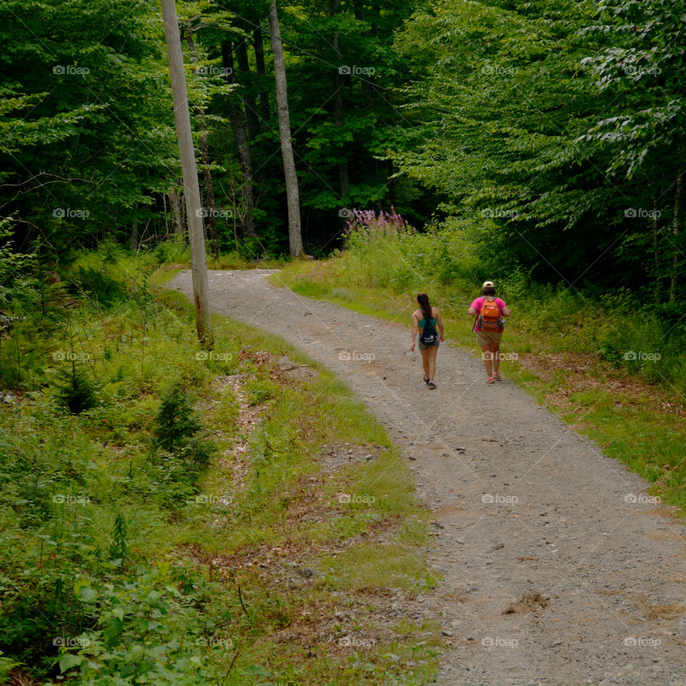 A Forest in every season! The forest's smell was fresh and organic! You could hear rustling as the wildlife scattered as the twigs were crunching under my feet. The trees were the towers of the forest. There are forests for all four seasons which display their own individual characteristics!