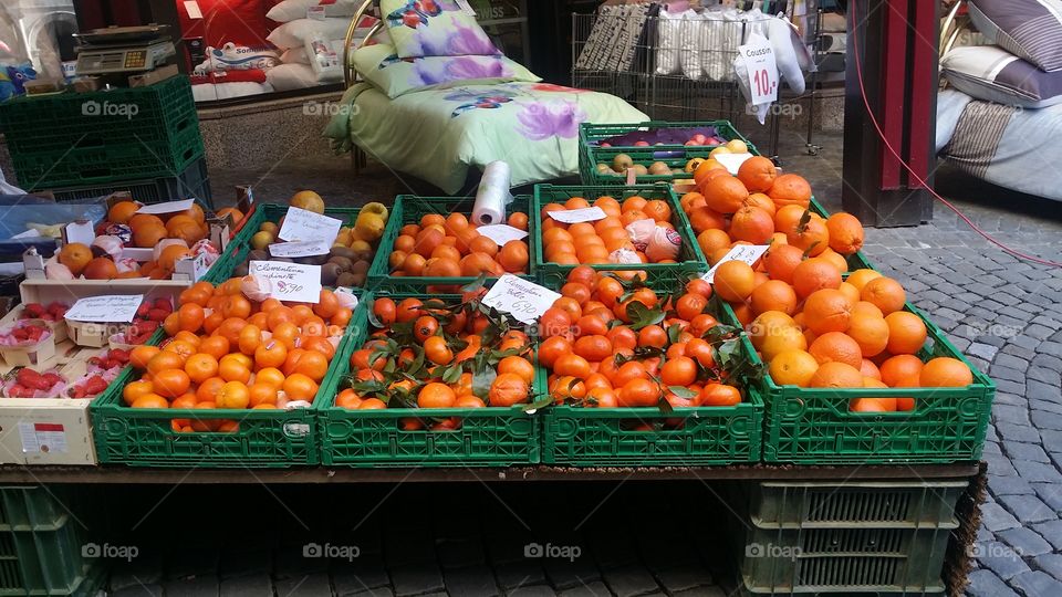 citrus feast