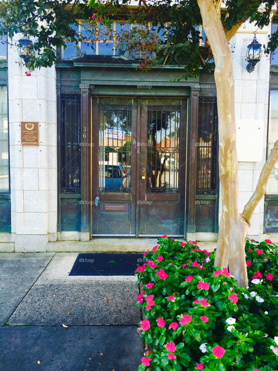Sidewalk view of iron bronze doors with planter