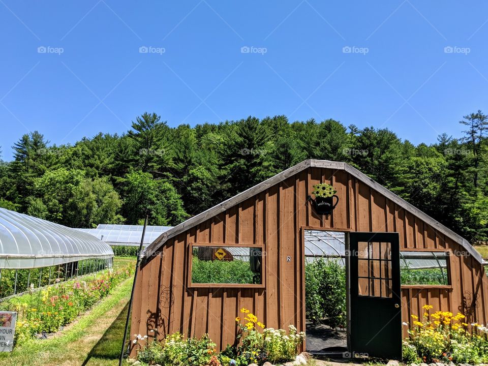 greenhouse growth