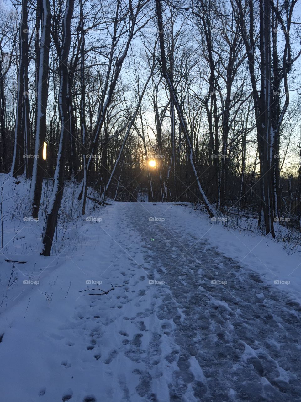Frozen path leaning towards the sun