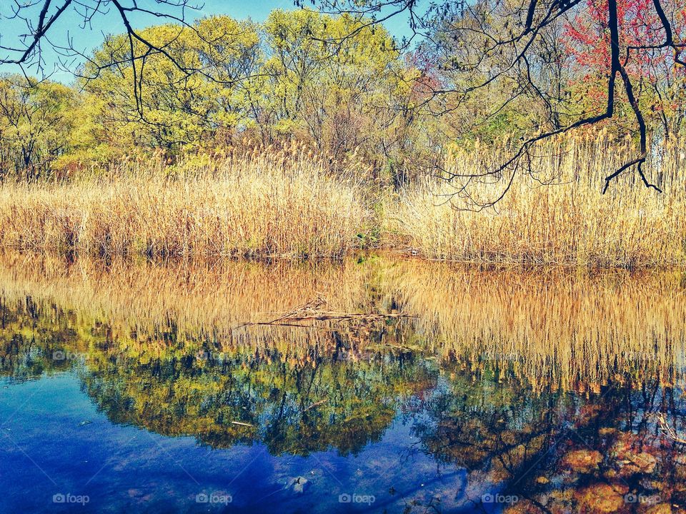 Indian River, Milford CT. Indian River, Milford CT