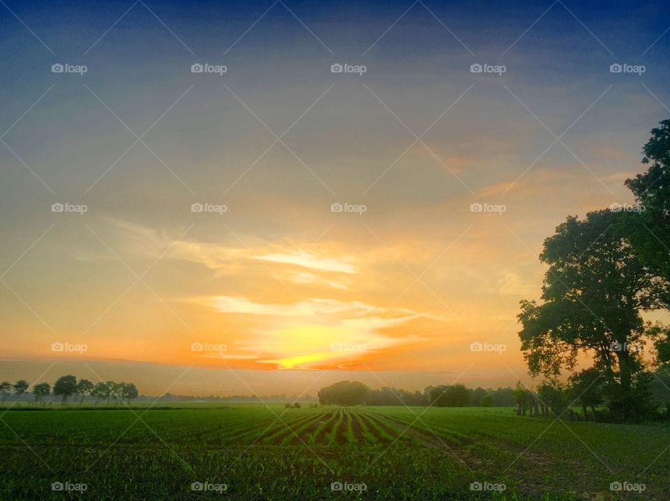 Countryside morningsun