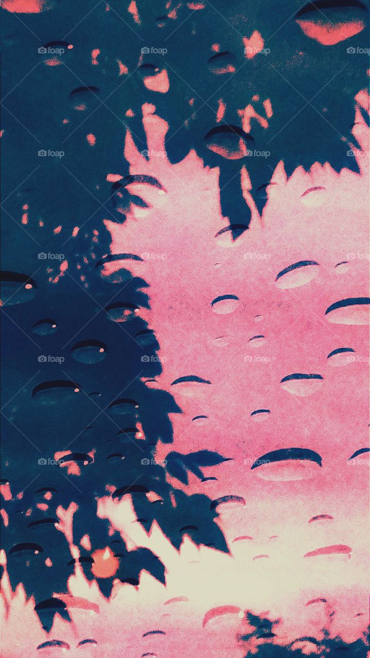 Windshield Of Your Ora