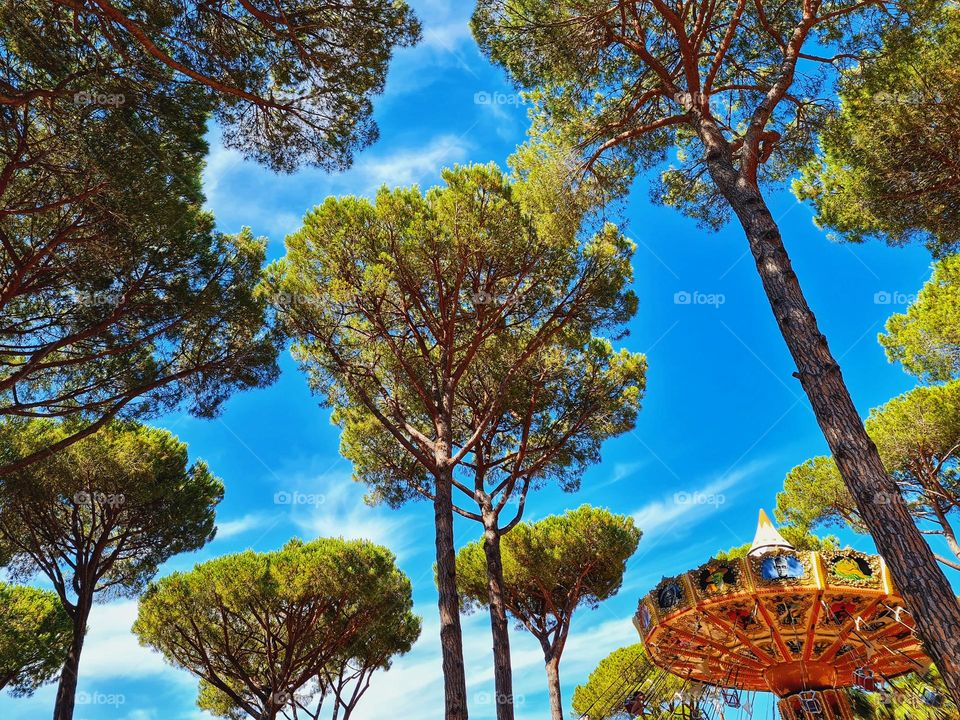 flying carousel in motion peeks out through the trees