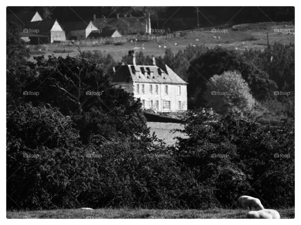 House. Countryside