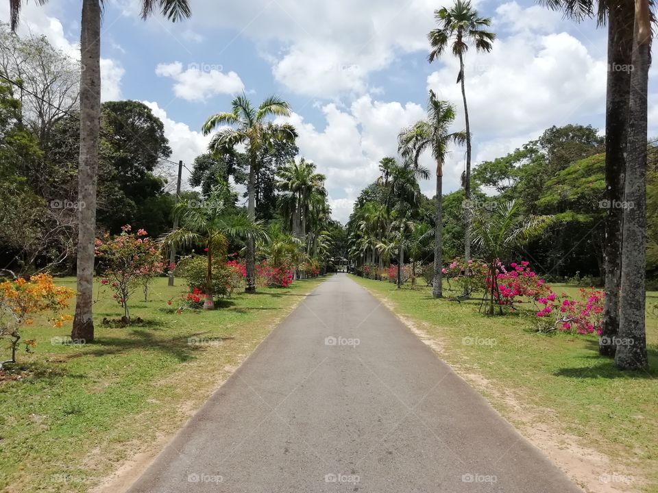 Random clicks # parthway to a beautiful garden