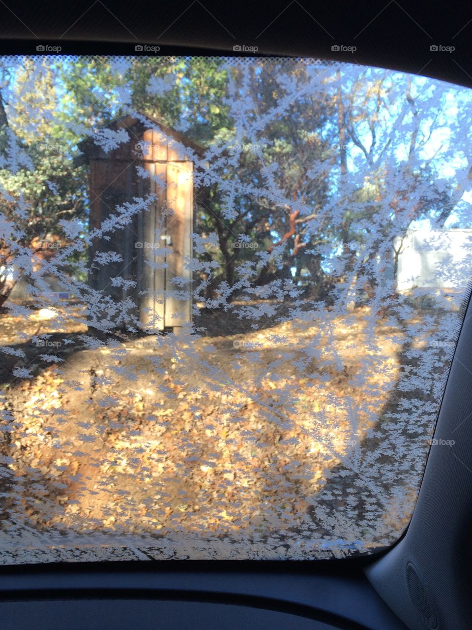 Frost on car windshield 