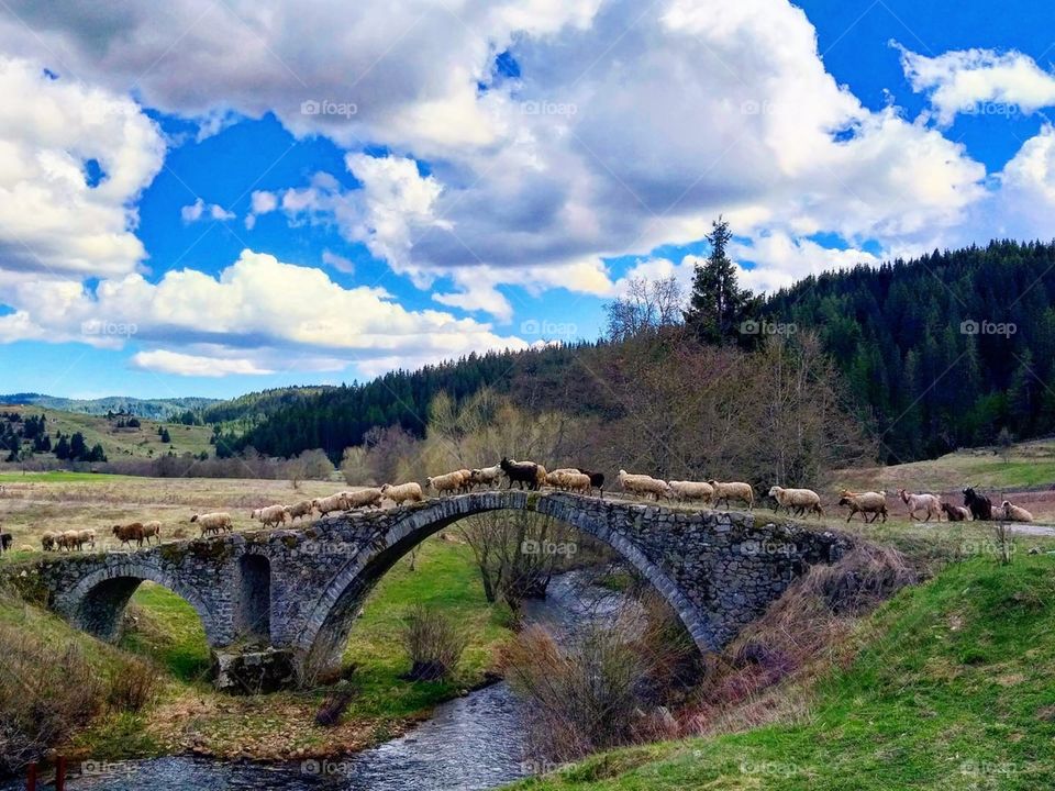 La belleza de Bulgaria 