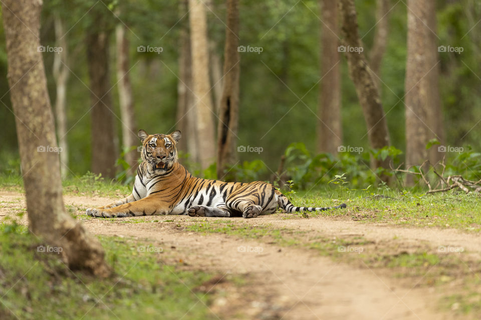 The QUEEN of the TEMPLE! ❤️