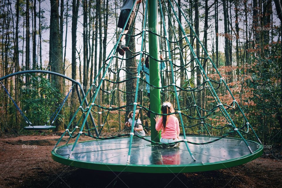 Recreation, Wood, Leisure, Park, Tree