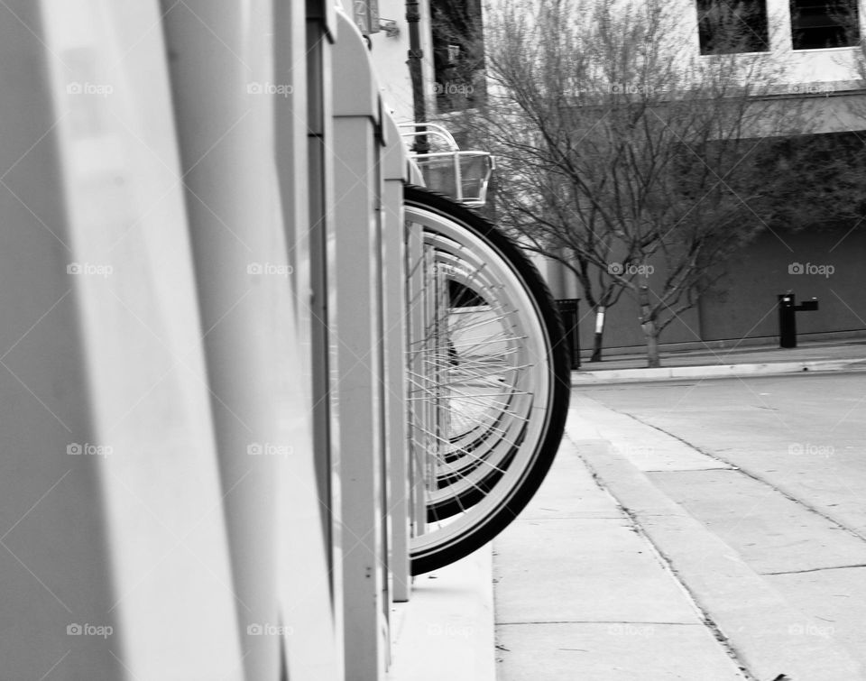 Bicycle Wheels in a Row 