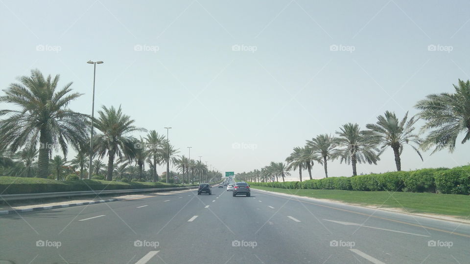 Arabian Road Trip