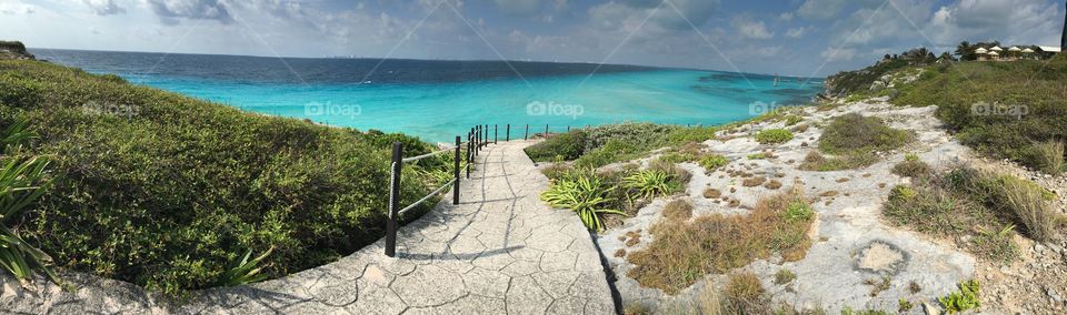 Scenic view of nature