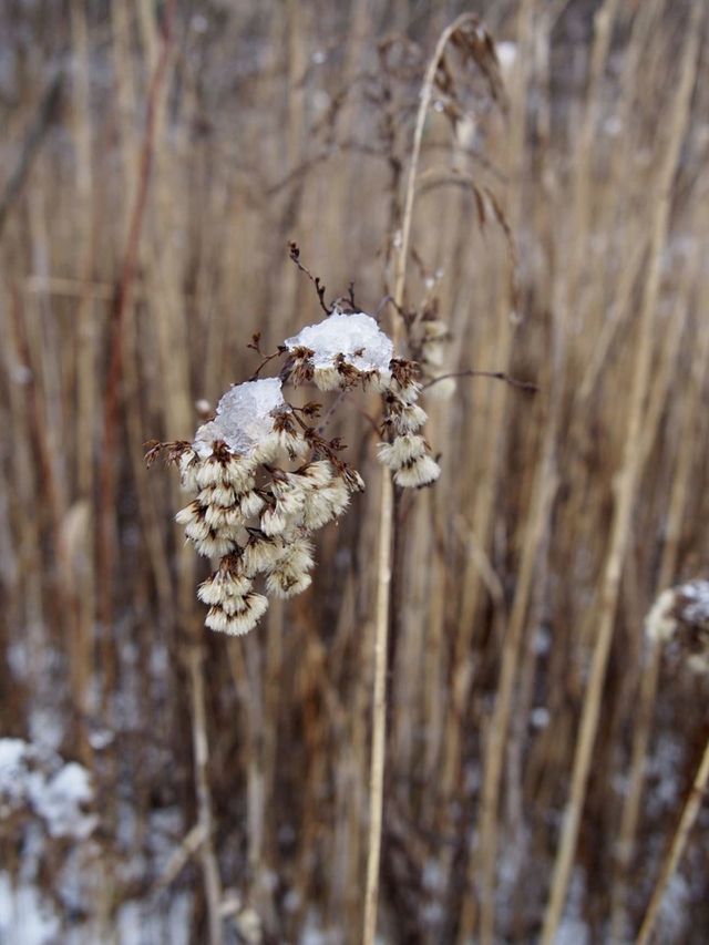 Last day of winter