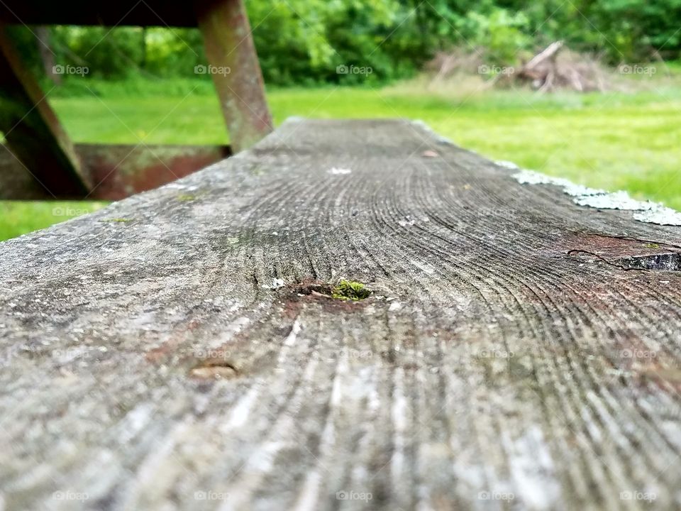 Picnic Table Seat