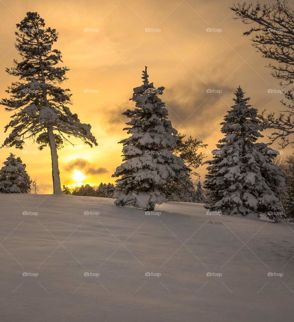 Winter in Newfoundland Canada