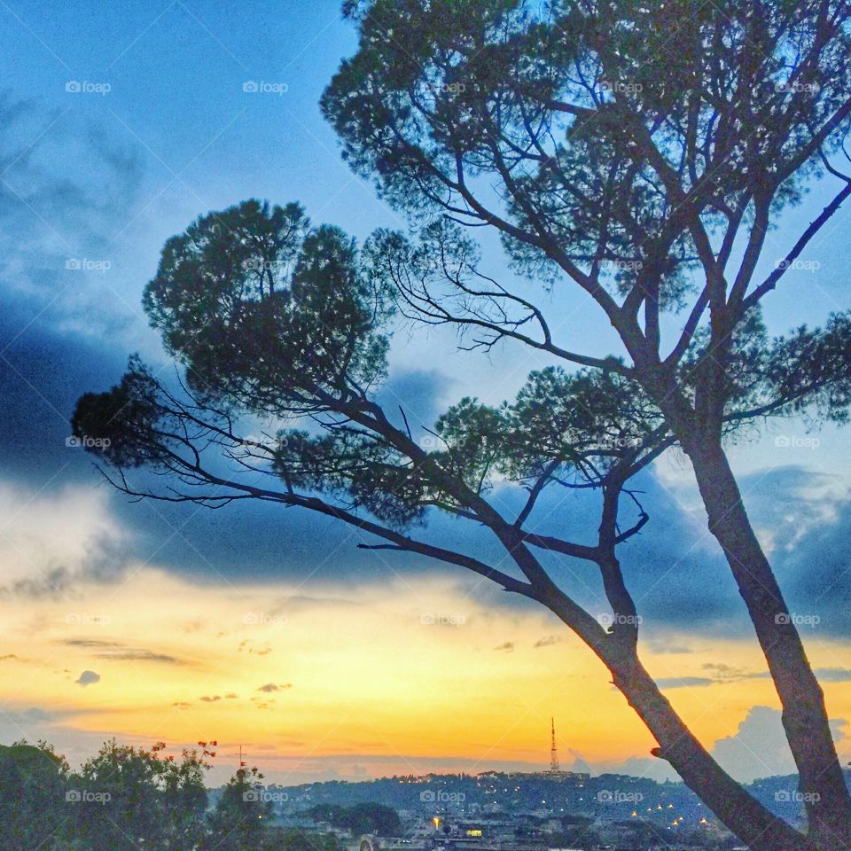 Pincia View Over Rome