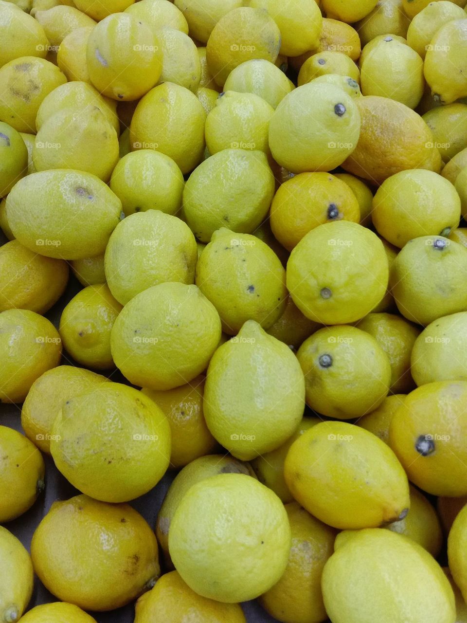 Yellow Lemon