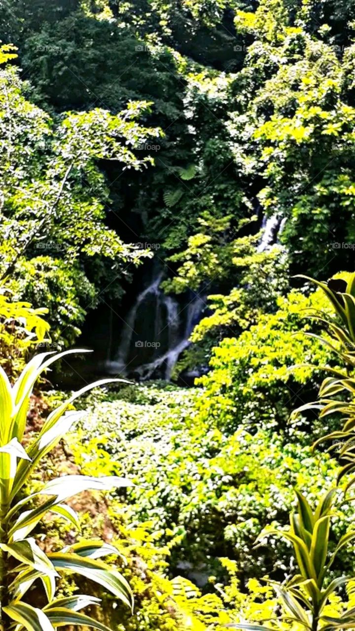 A modt beautiful and attractive view of the small waterfall.