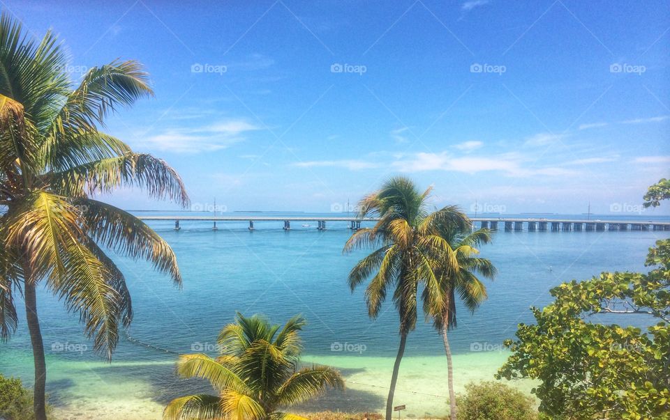 Bahia Honda, Florida Keys