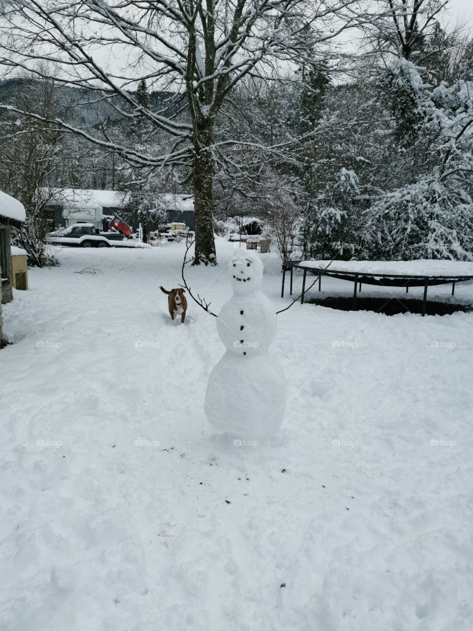 snowman and labrabull