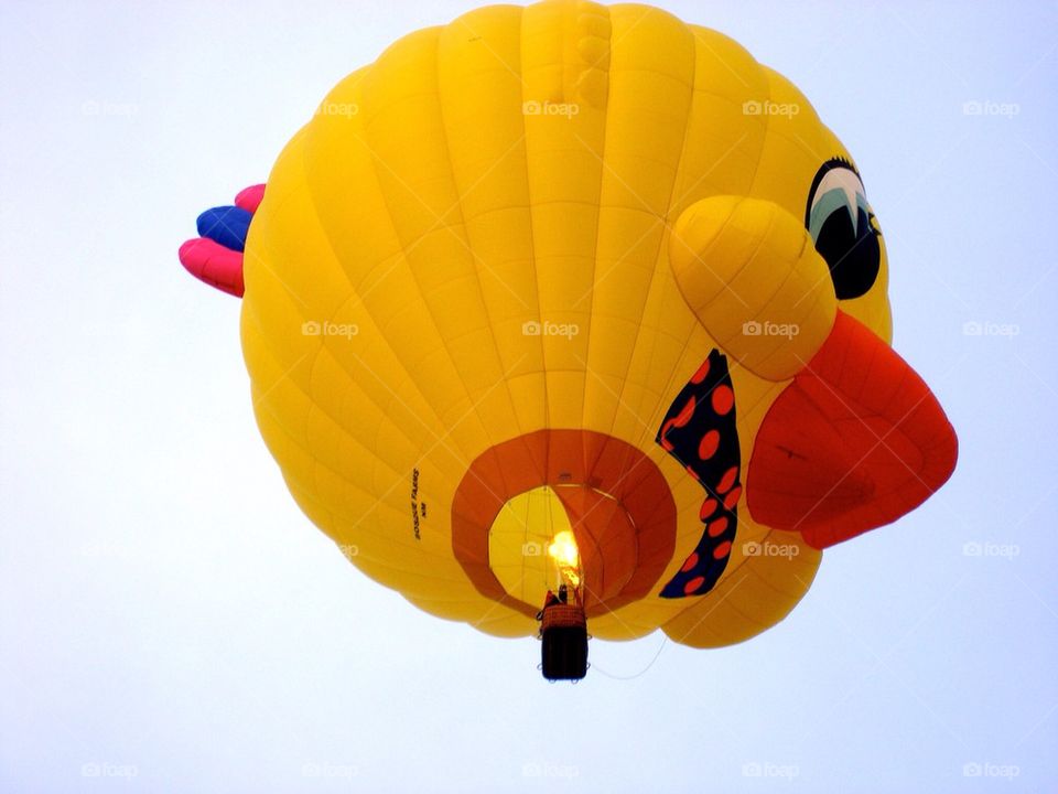 Duck hot air ballon