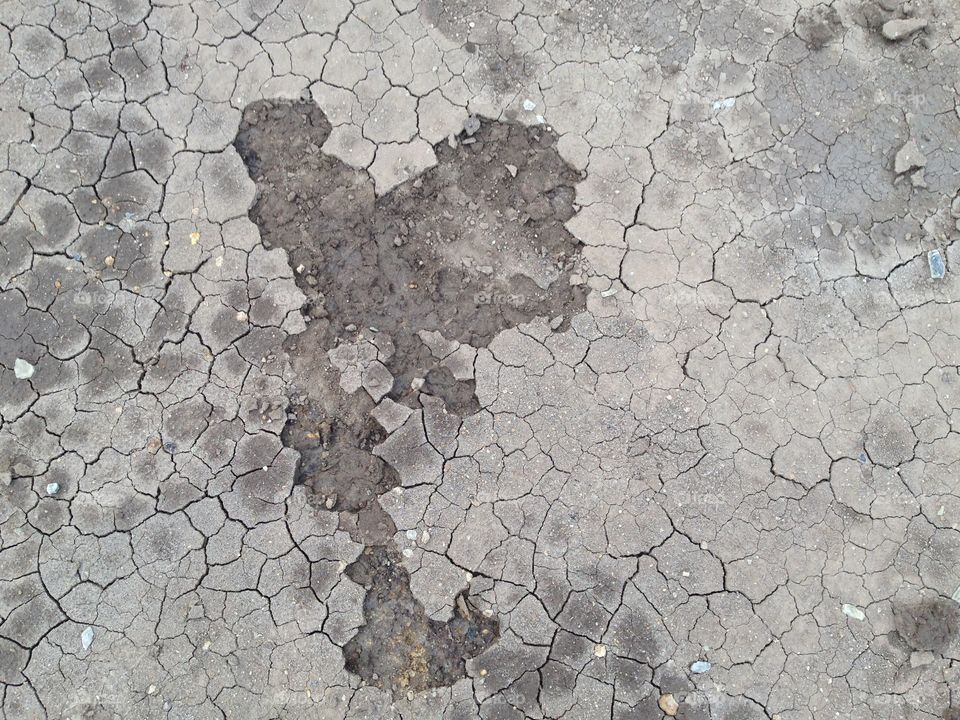 Ground crack.