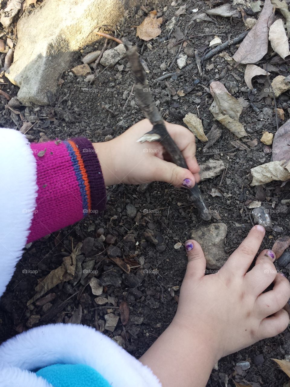 amateur paleontologist