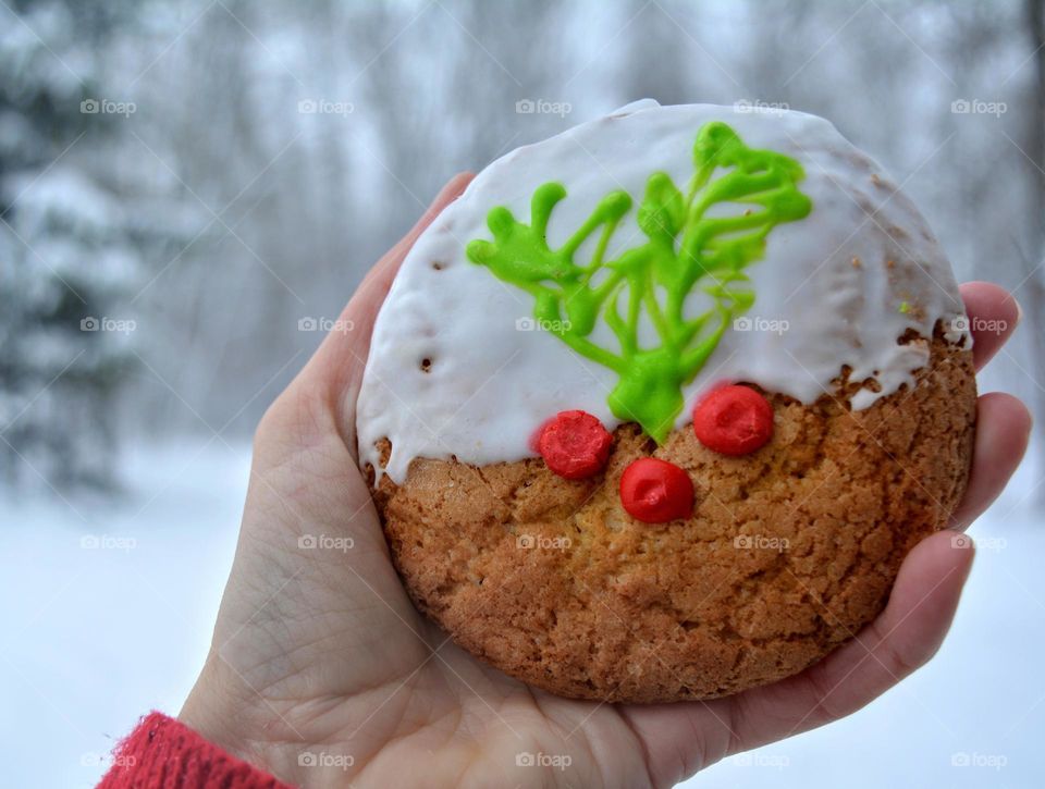 round beautiful texture cookie in the hand