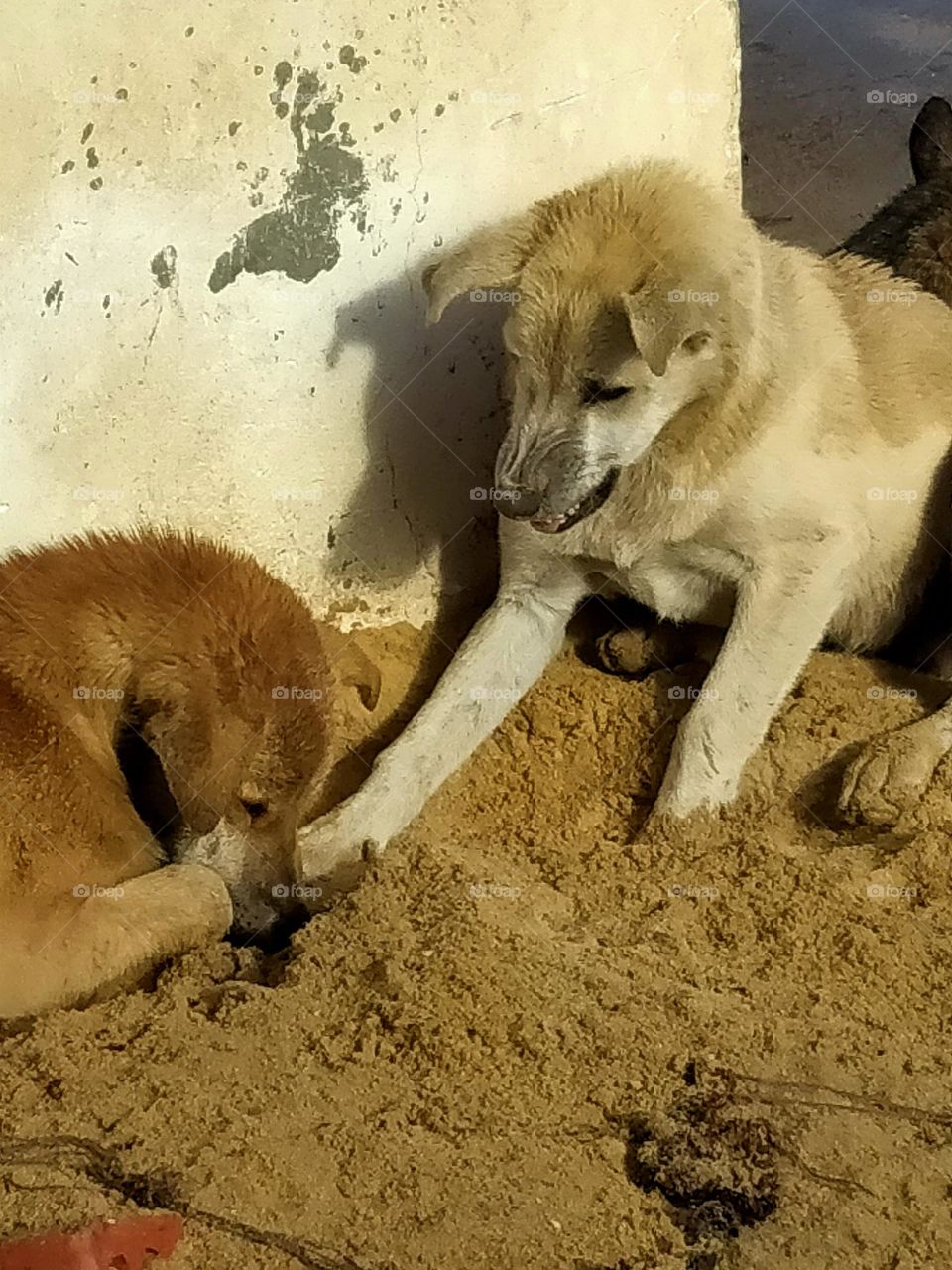 Respect yourself instead of biting you