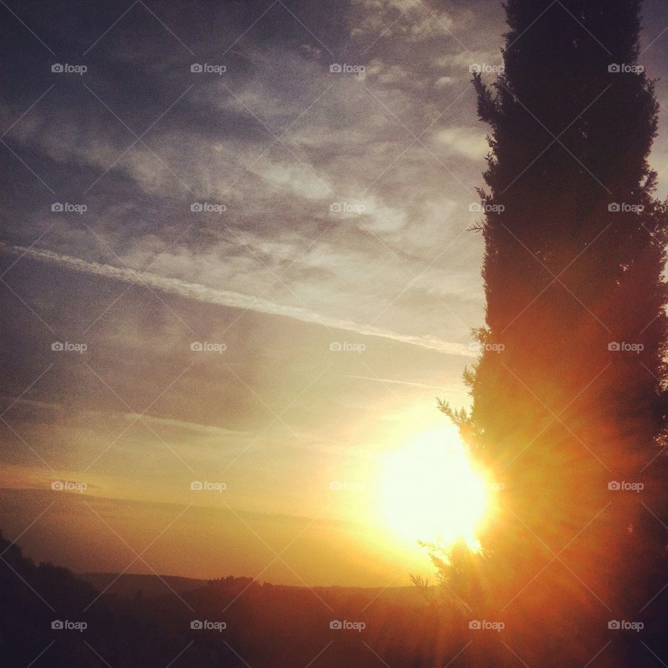 sky nature cypress fascinating by alekime