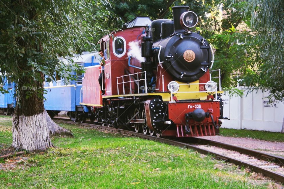 Locomotive. Railway for children in the park