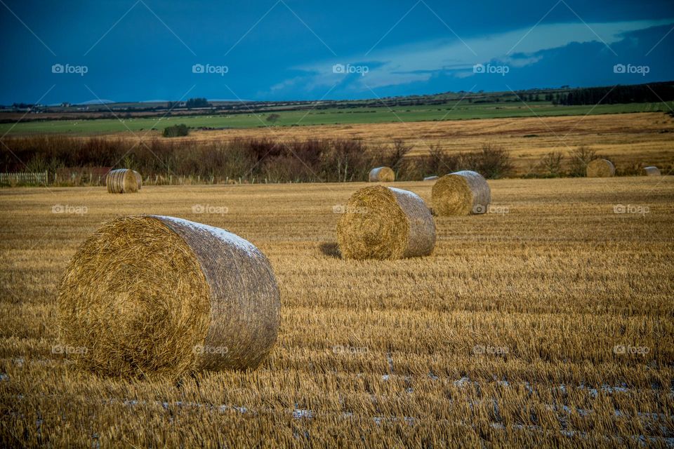 Hay stacks