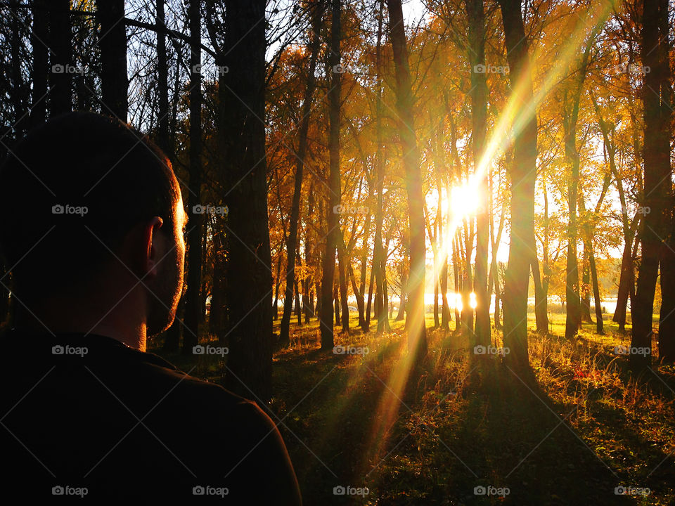 Young man thinking and watching the autumn sunrise through the trees with golden leaves in forest 