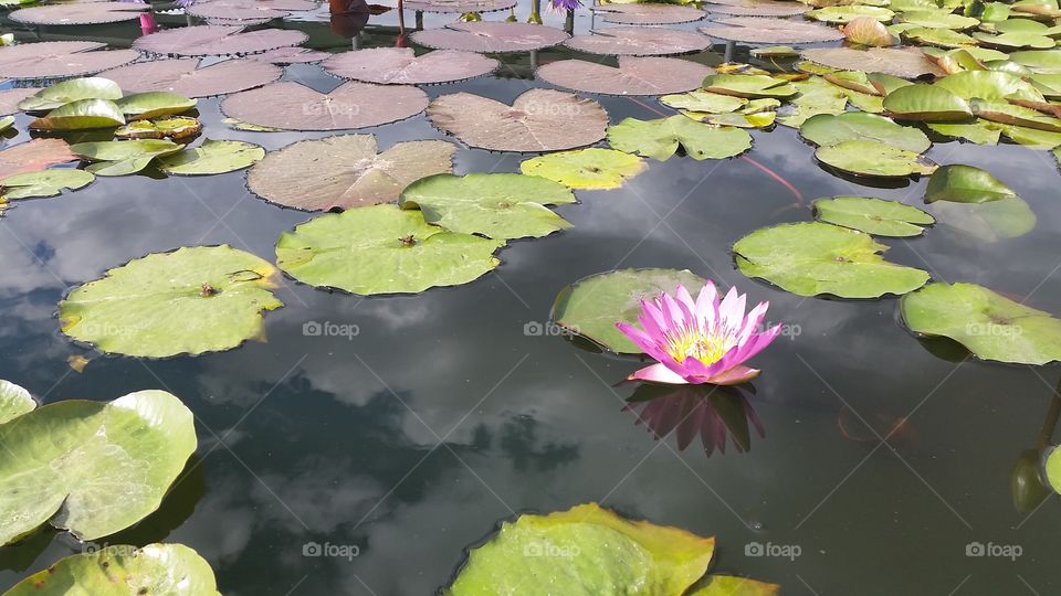 Outstanding color that contrast to anything in this picture