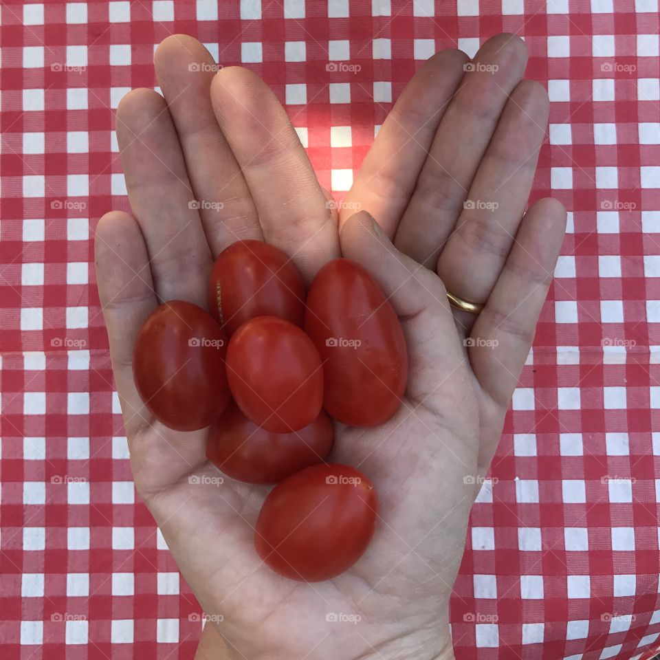 High angle view of hand holding tomatos