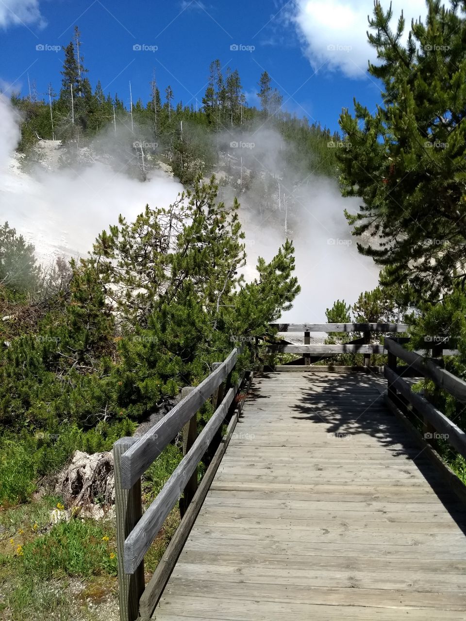path to geysers at Yellowstone