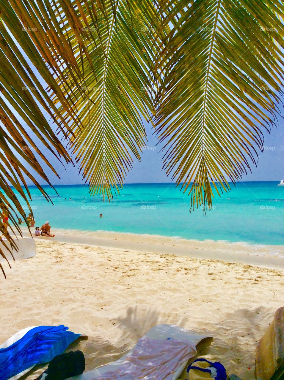Beach & palm trees🌴