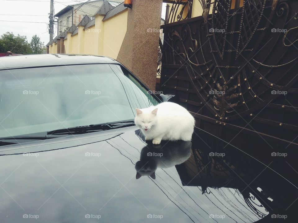 Vehicle, People, Car, One, Portrait