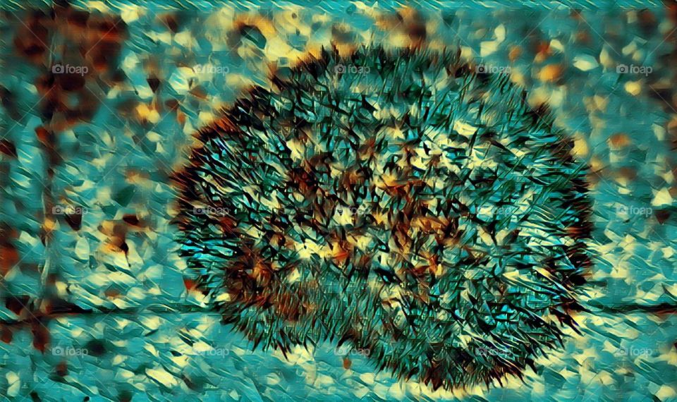 A thousand of spines, aouch ! !