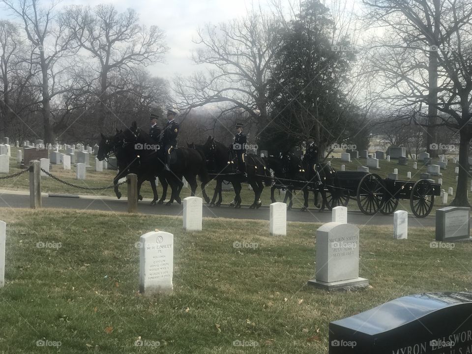 Arlington Cemetery 